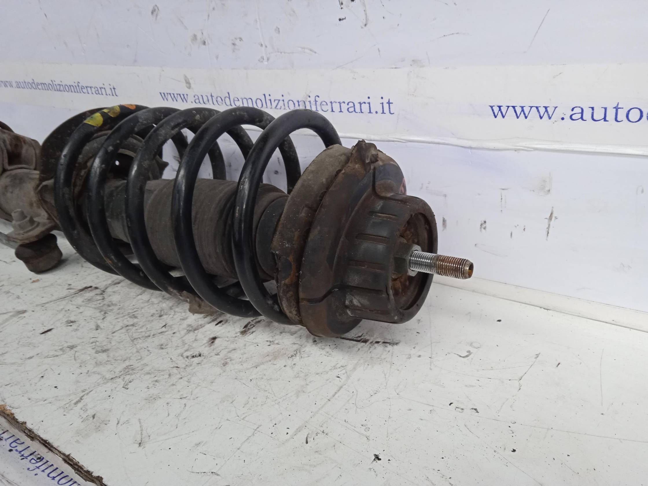 Ammortizzatore ant. sx.